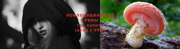 прущая мука Абаза