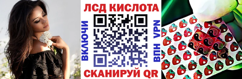 Марки NBOMe 1500мкг где найти Подпорожье