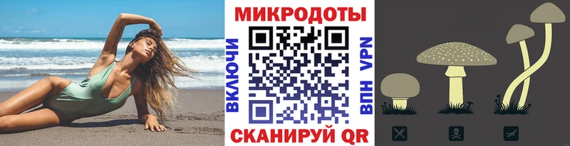 blacksprut вход  Подпорожье  Псилоцибиновые грибы Magic Shrooms  что такое  